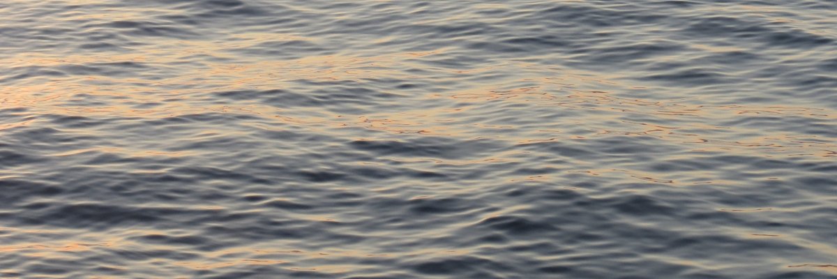 dominique_ot's profile banner image