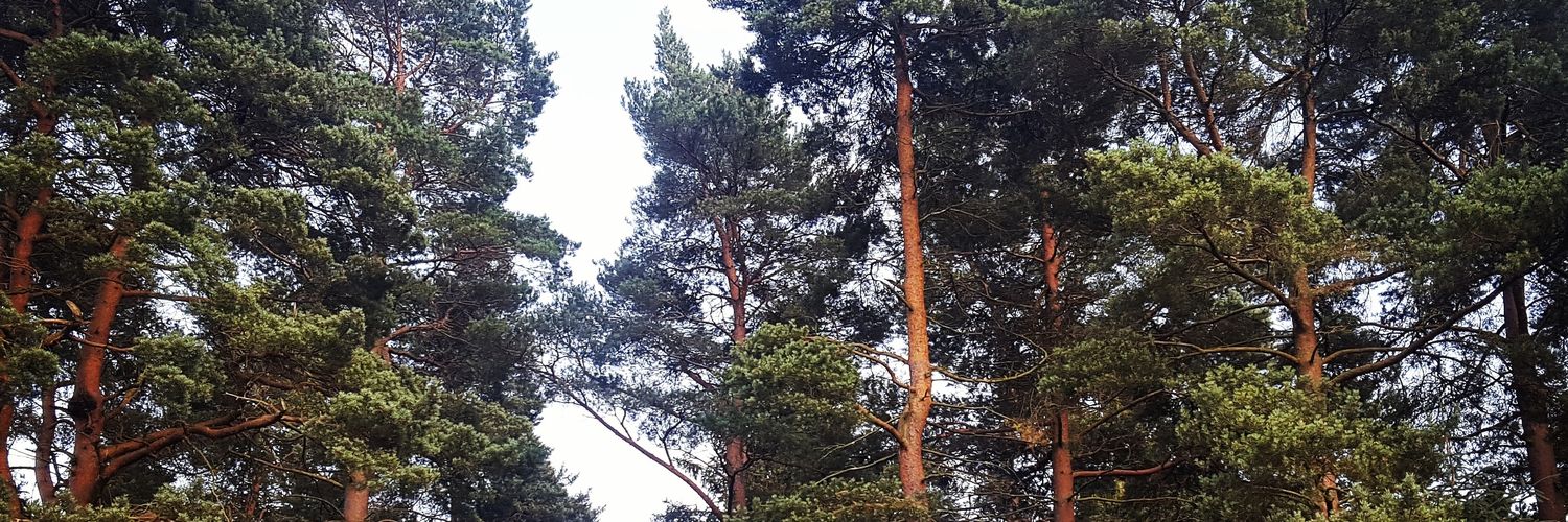 h_speak's profile banner image