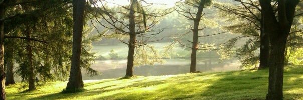 crysyann's profile banner image