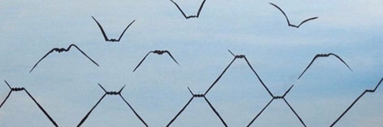 Reinad94's profile banner image