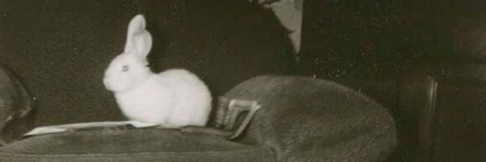 prettynormalgal's profile banner image