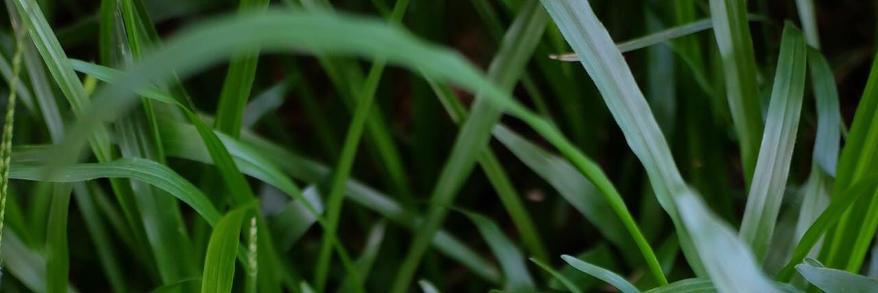 songhkt121's profile banner image