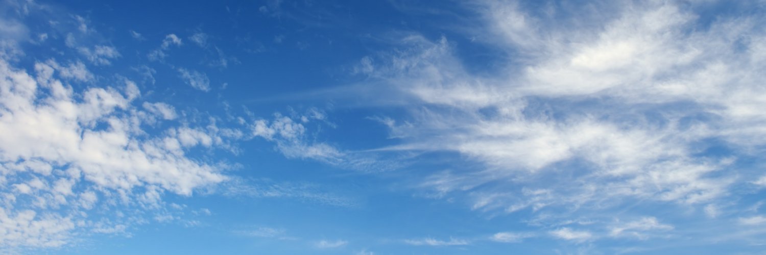 r1sza's profile banner image