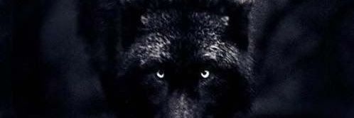 85Ice's profile banner image