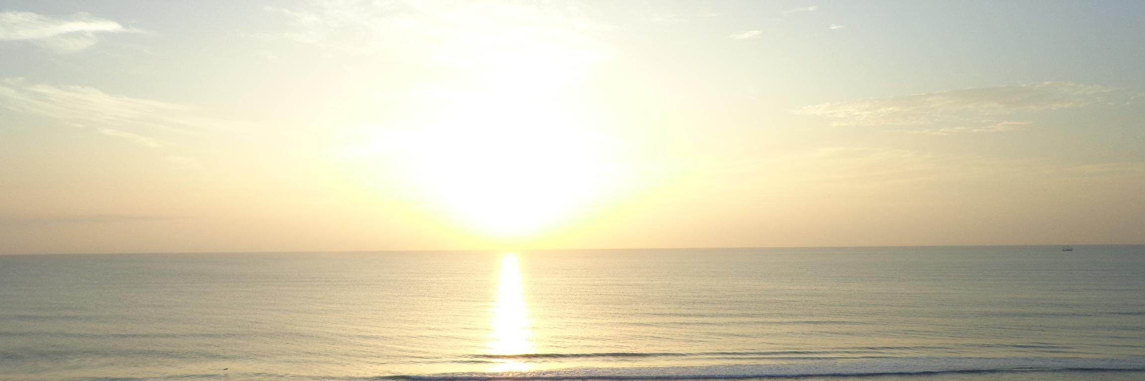drfunkenstein2k's profile banner image