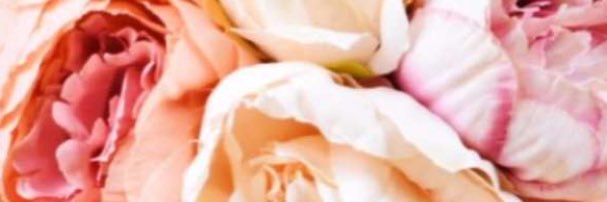 ambitious46's profile banner image