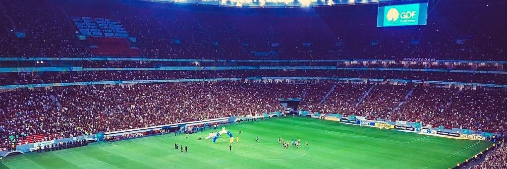 Paiva ᶜʳᶠ #Tetra 🔴⚫️ 🏆🏆🏆🏆 banner