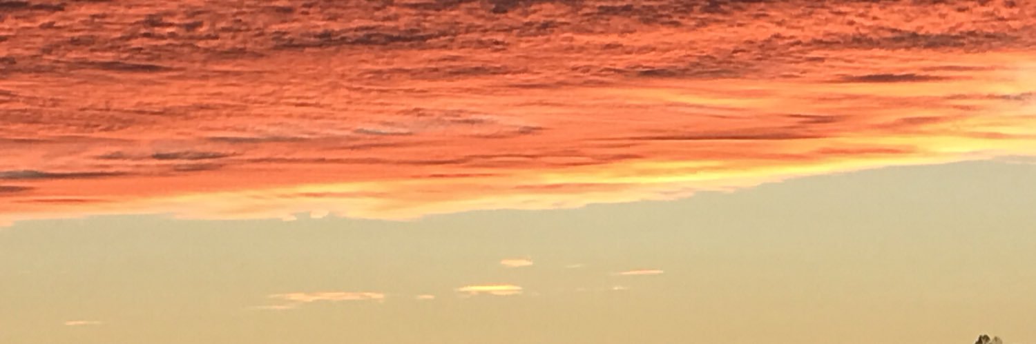 santsaedo's profile banner image