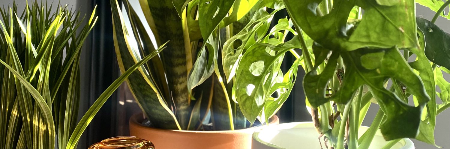 DBellx22's profile banner image