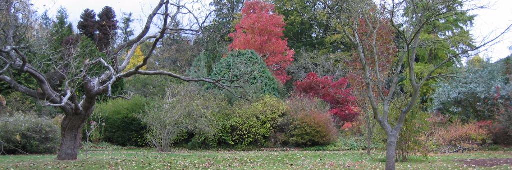 bathparklife's profile banner image