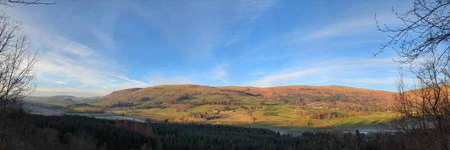 WillReidWeb's profile banner image