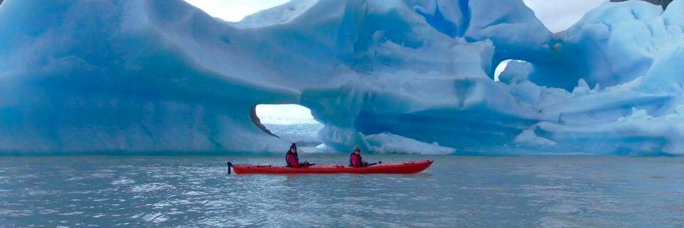 Miss Fox 🦊 banner