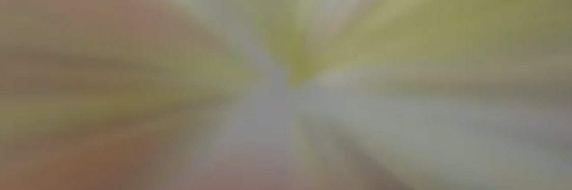 santana smith banner
