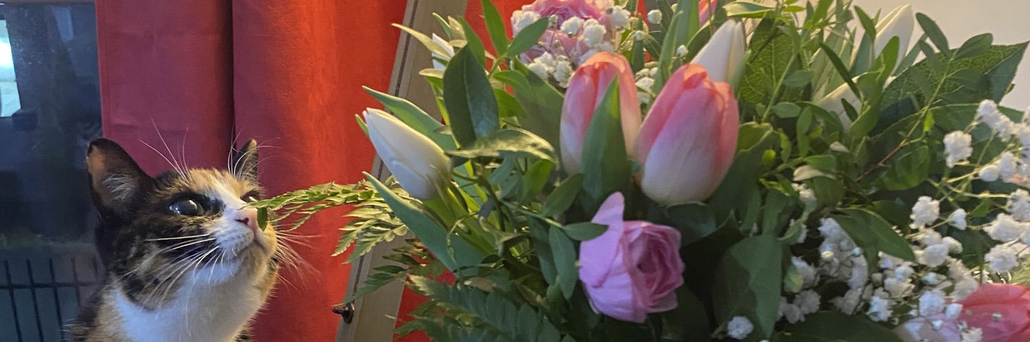 DylanHbk_'s profile banner image