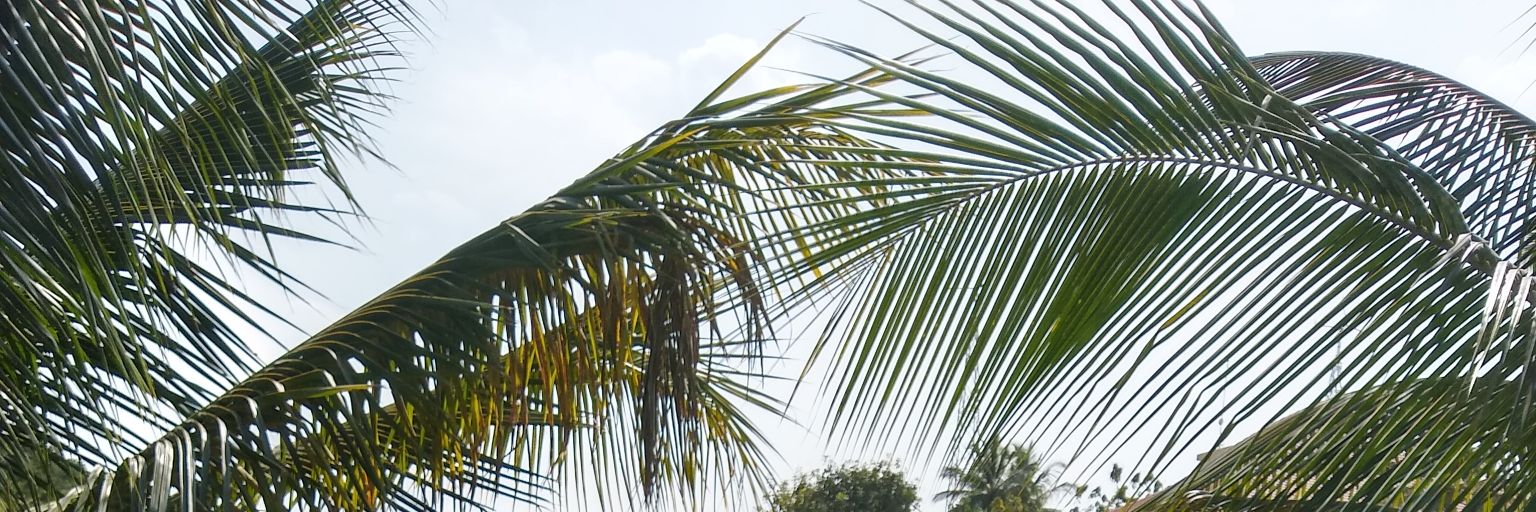 DhyaneshTweets's profile banner image