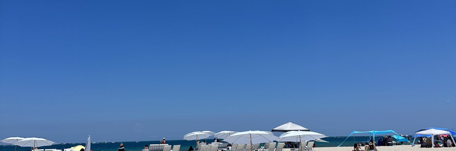 delfinacastello's profile banner image