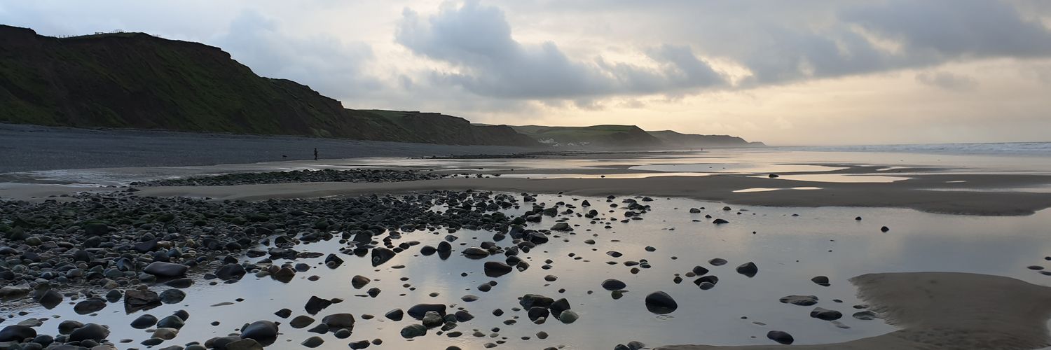 Wendy Scott 💙 🇺🇦🇵🇸🇾🇪 banner