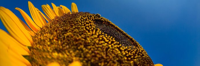 knkm0206's profile banner image