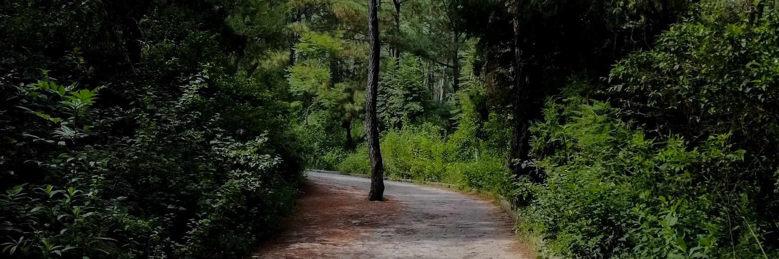 EdwinOr00's profile banner image