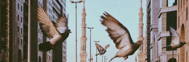 am_2106's profile banner image