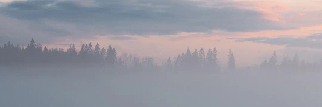 yinyaomiao's profile banner image