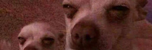 yourfavchef_ Profile Banner