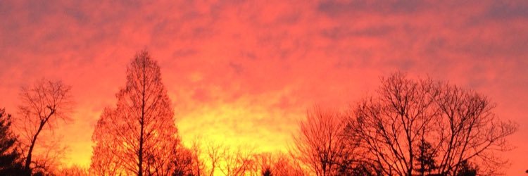bradwaring94's profile banner image