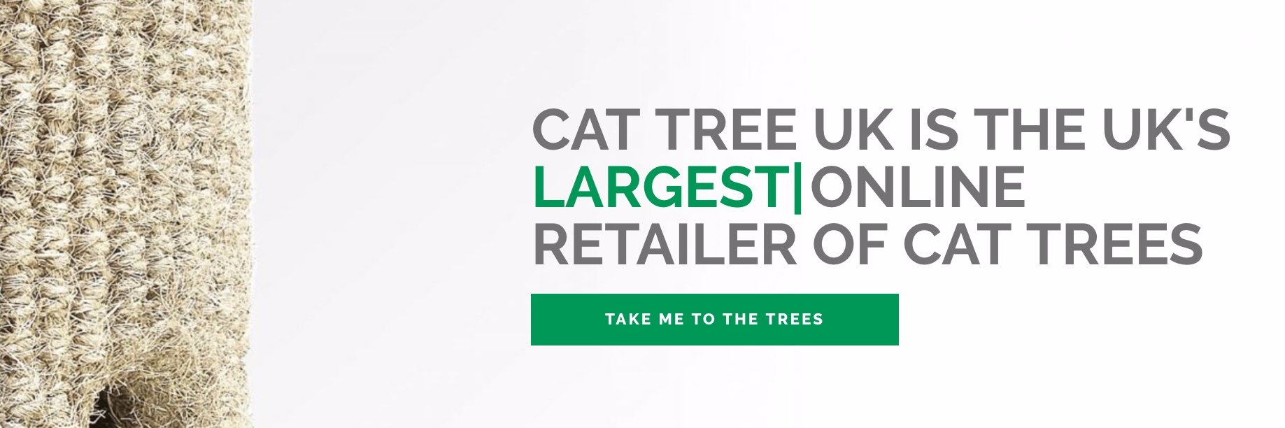 cattreeuk's profile banner image