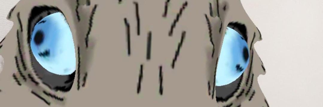 mvrchbl's profile banner image