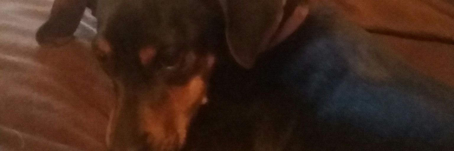 jaydaforever21's profile banner image