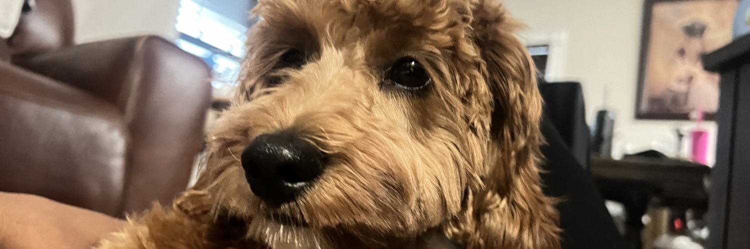 TheCOLESHOW22's profile banner image
