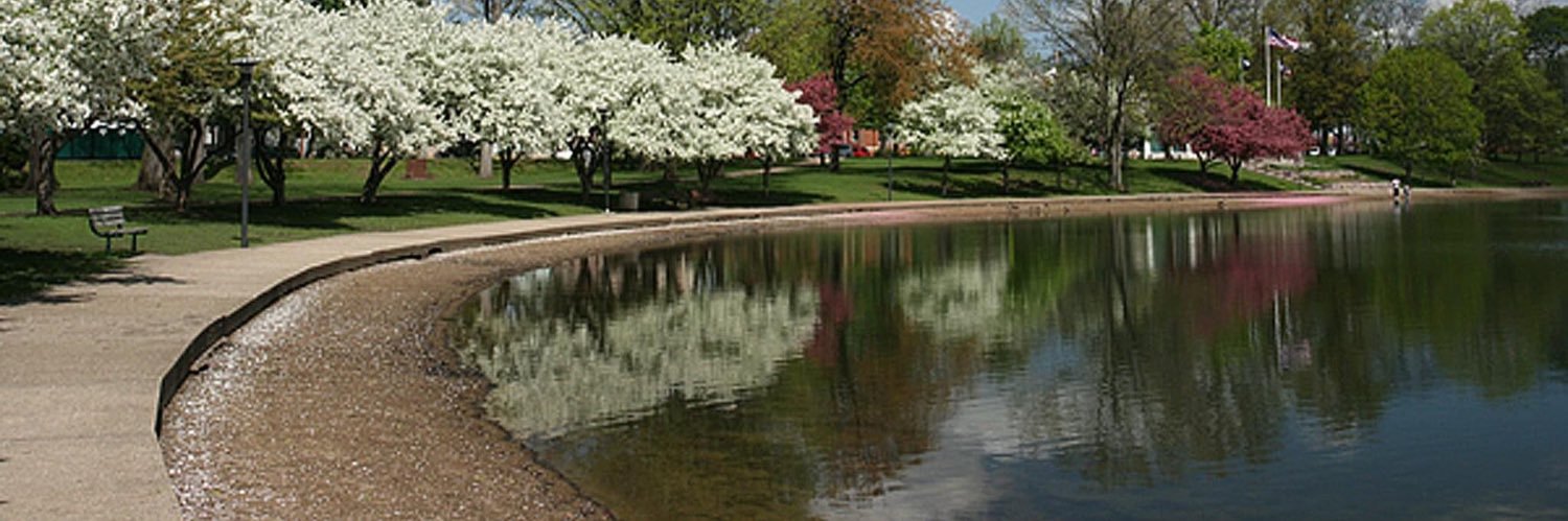 Herald Social banner