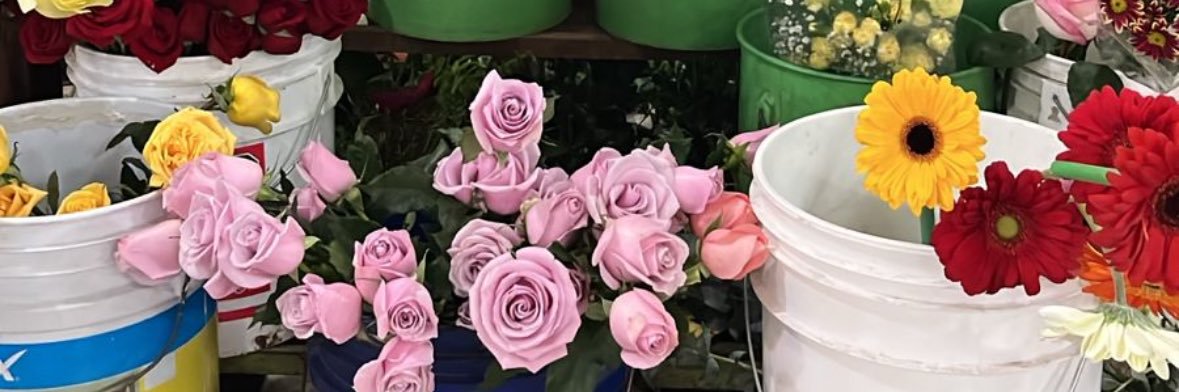 abrilrossp's profile banner image