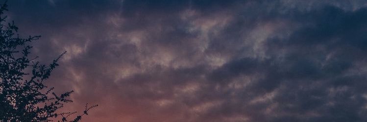 xxss135's profile banner image
