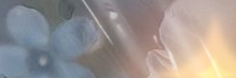 nyangprio's profile banner image