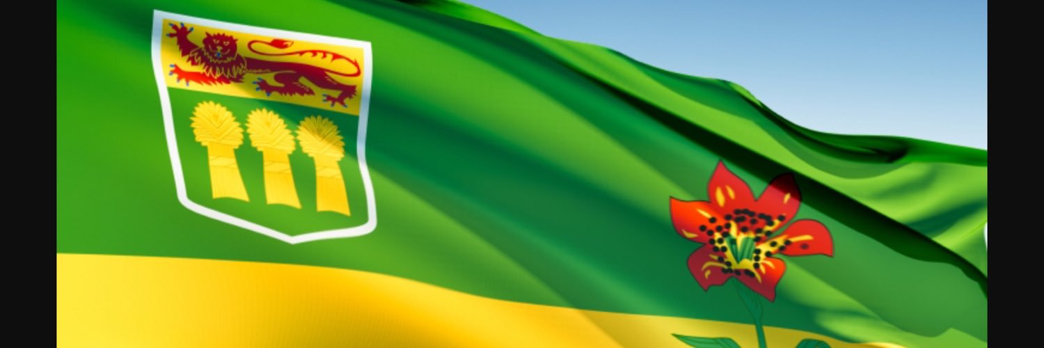 CarolKos1's profile banner image