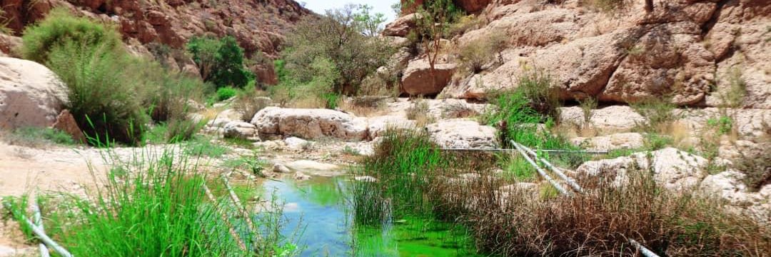 Abdisaid Muse Ali banner