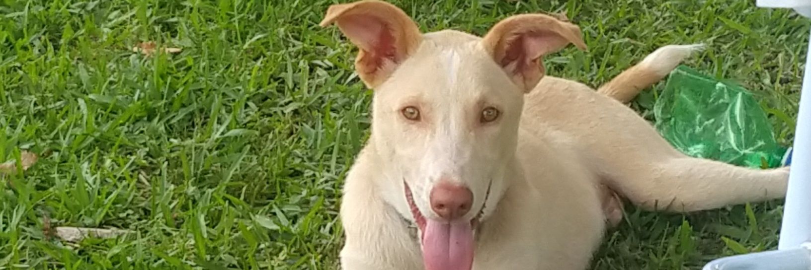 PaollahVargas's profile banner image