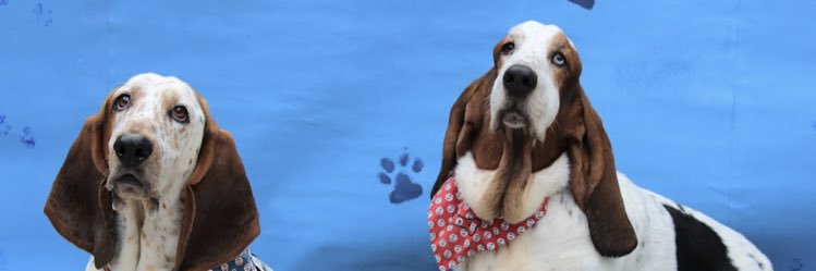 Jackie Richards banner