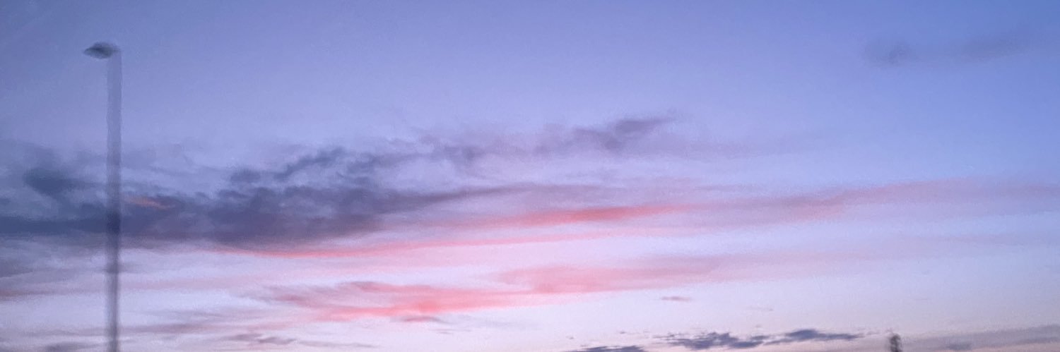 lastrxse's profile banner image