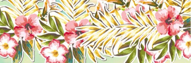 Country_Smore's profile banner image