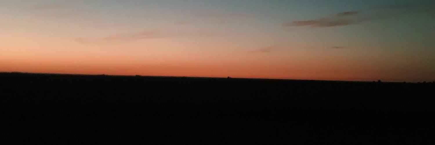 Valecervellini's profile banner image