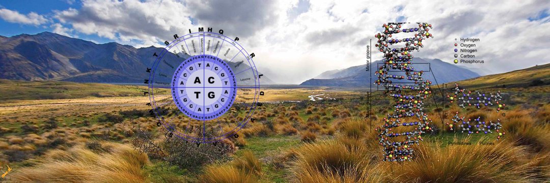 NZStories's profile banner image