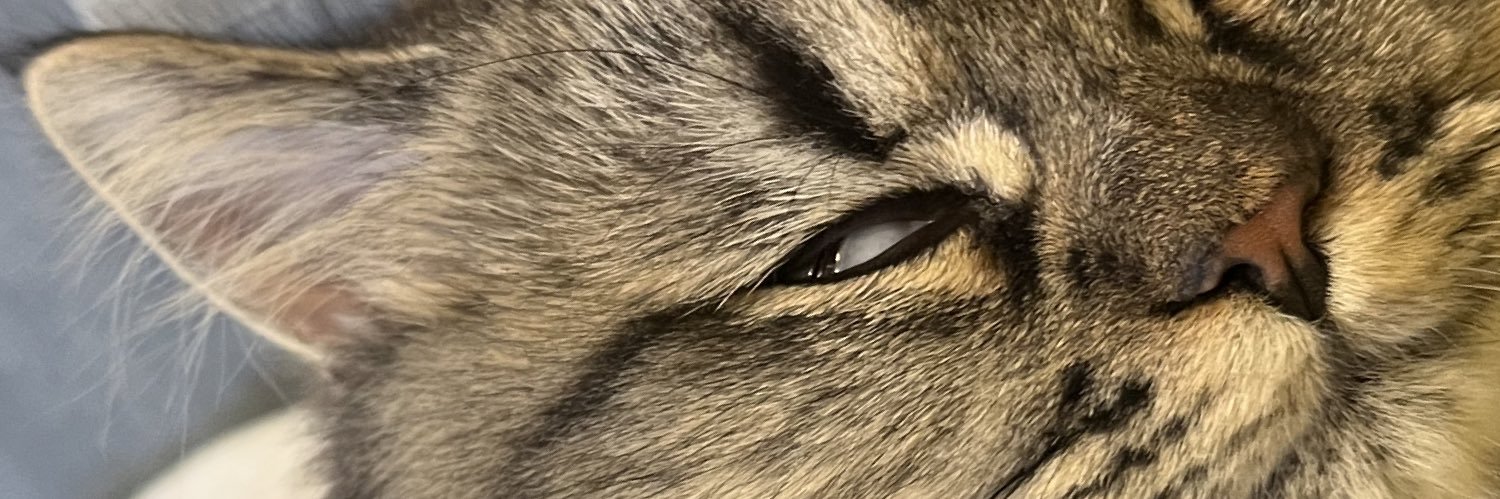 aiwest's profile banner image
