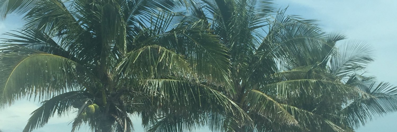 BritnyLMain's profile banner image
