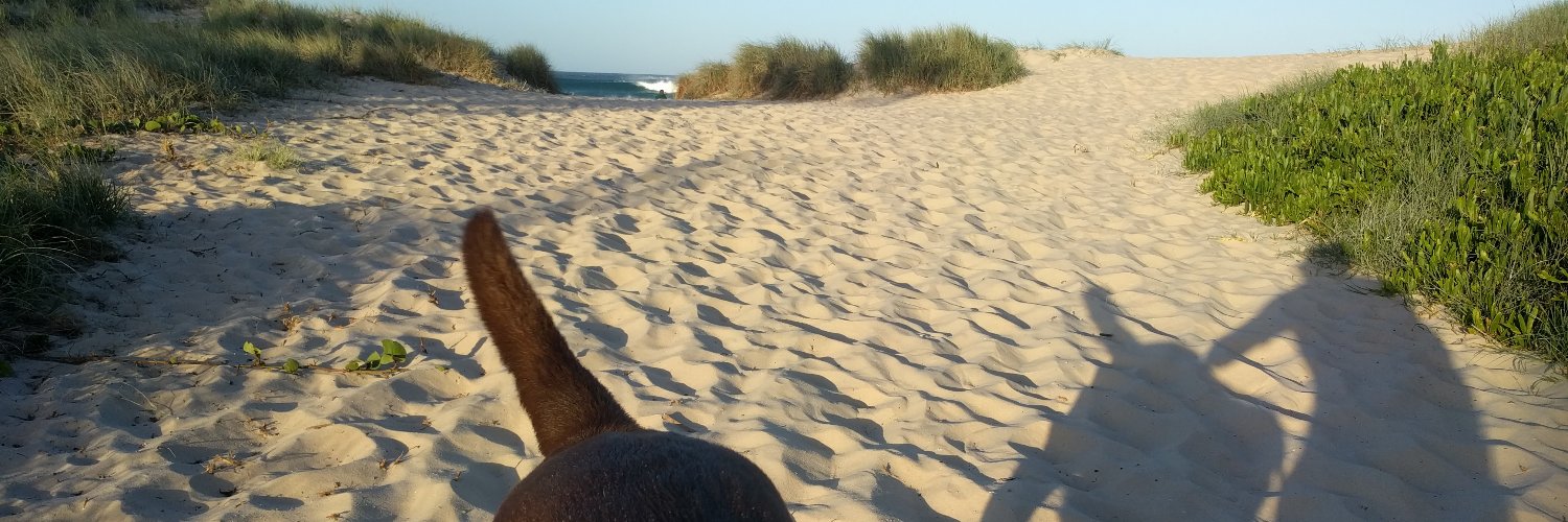 Duncan Moon 🦴 banner