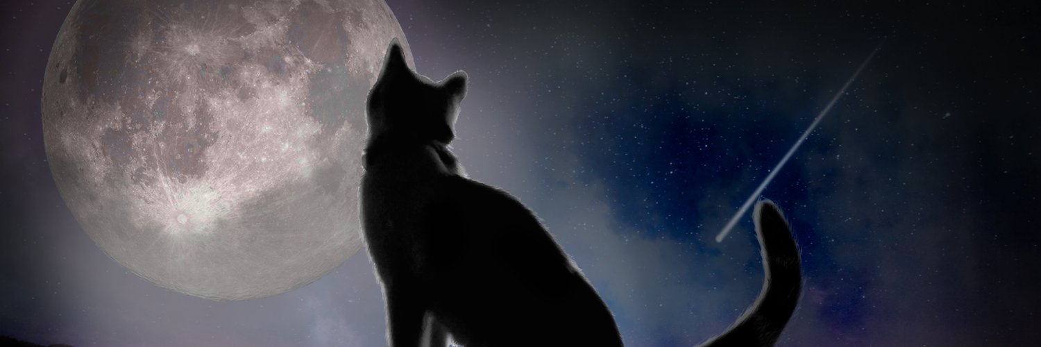 Faboxx_1's profile banner image