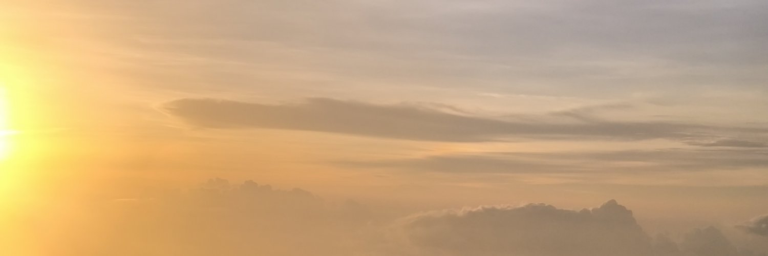 wp_num's profile banner image