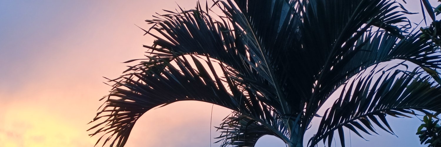 brookepvt's profile banner image