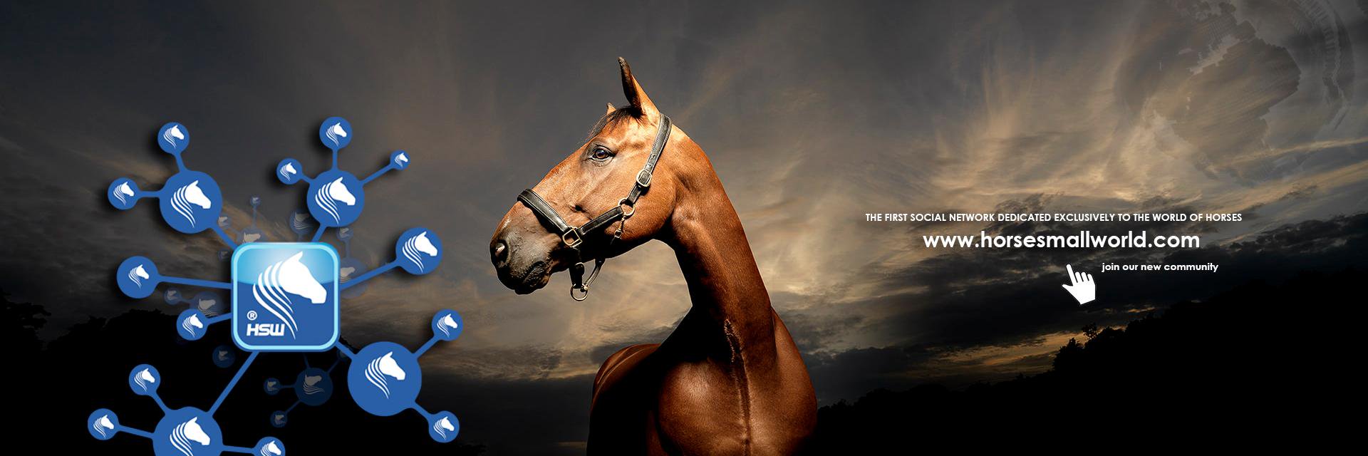 Horsesmallworld's profile banner image